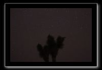 IMG_4510 (1)