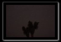IMG_4511 (1)