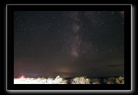 IMG_3698 (1)