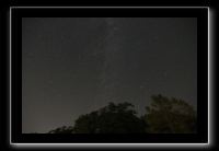 IMG_4984 (1)