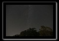 IMG_4985 (1)