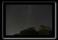 IMG_4994 (1)