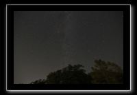 IMG_5005 (1)
