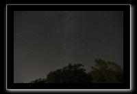 IMG_5006 (1)
