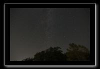 IMG_5010 (1)