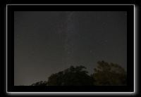 IMG_5011 (1)