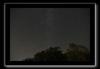 IMG_5012 (1)