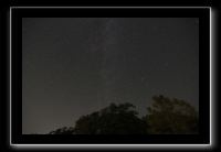 IMG_5013 (1)