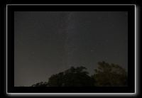 IMG_5014 (1)