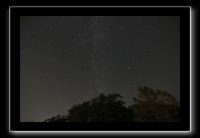 IMG_5027 (1)