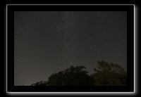 IMG_5031 (1)