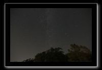IMG_5034 (1)