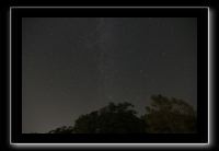 IMG_5040