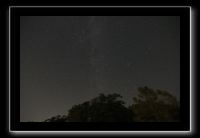 IMG_5043 (1)