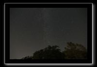 IMG_5050 (1)