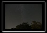 IMG_5061 (1)