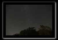 IMG_5077 (1)