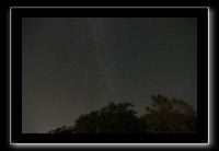 IMG_5084 (1)