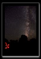 IMG_3730