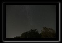 IMG_5094 (1)
