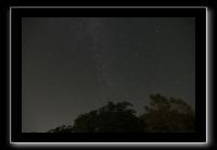IMG_5101