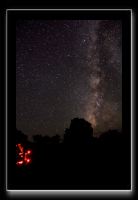IMG_3736