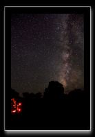 IMG_3737
