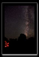 IMG_3738