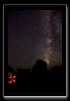 IMG_3740