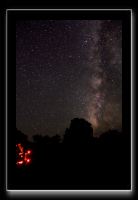 IMG_3741