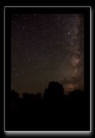 IMG_3781