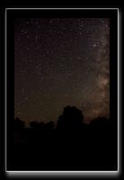 IMG_3795