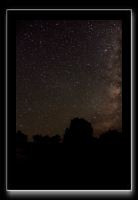 IMG_3796