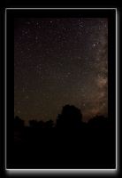 IMG_3798