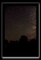 IMG_3799