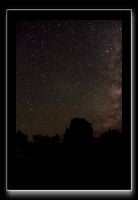 IMG_3800