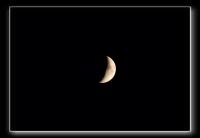 IMG_7795