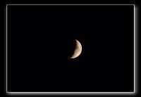 IMG_7797