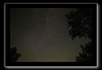 IMG_8320