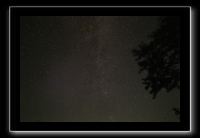 IMG_8321