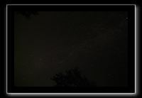 IMG_8419