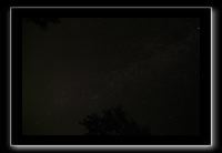 IMG_8421 (1)
