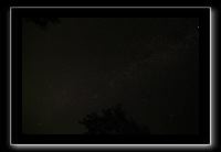 IMG_8431 (1)