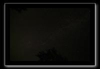 IMG_8446 (1)