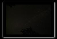 IMG_8452 (1)