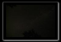 IMG_8464 (1)