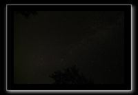 IMG_8469 (1)