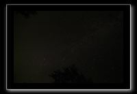 IMG_8520 (1)
