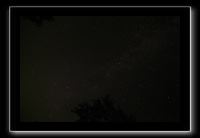 IMG_8553 (1)