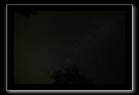 IMG_8593